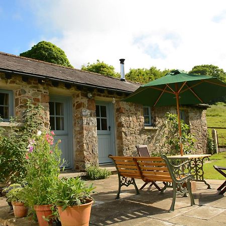 Dandelion Cottage, Amroth Buitenkant foto