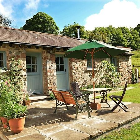 Dandelion Cottage, Amroth Buitenkant foto