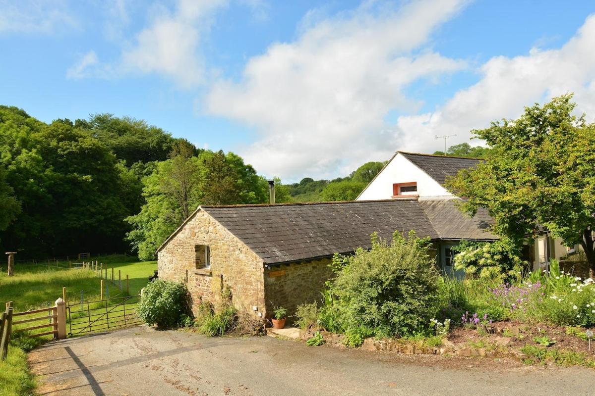 Dandelion Cottage, Amroth Buitenkant foto