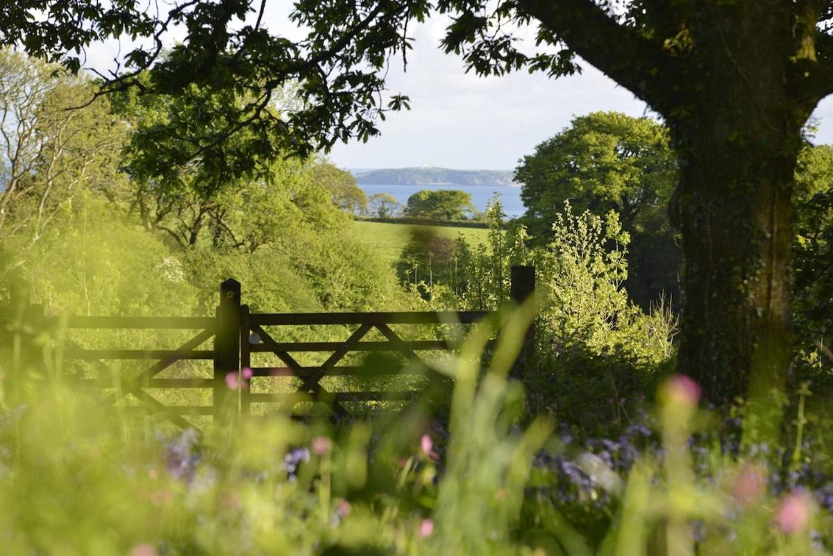 Dandelion Cottage, Amroth Buitenkant foto