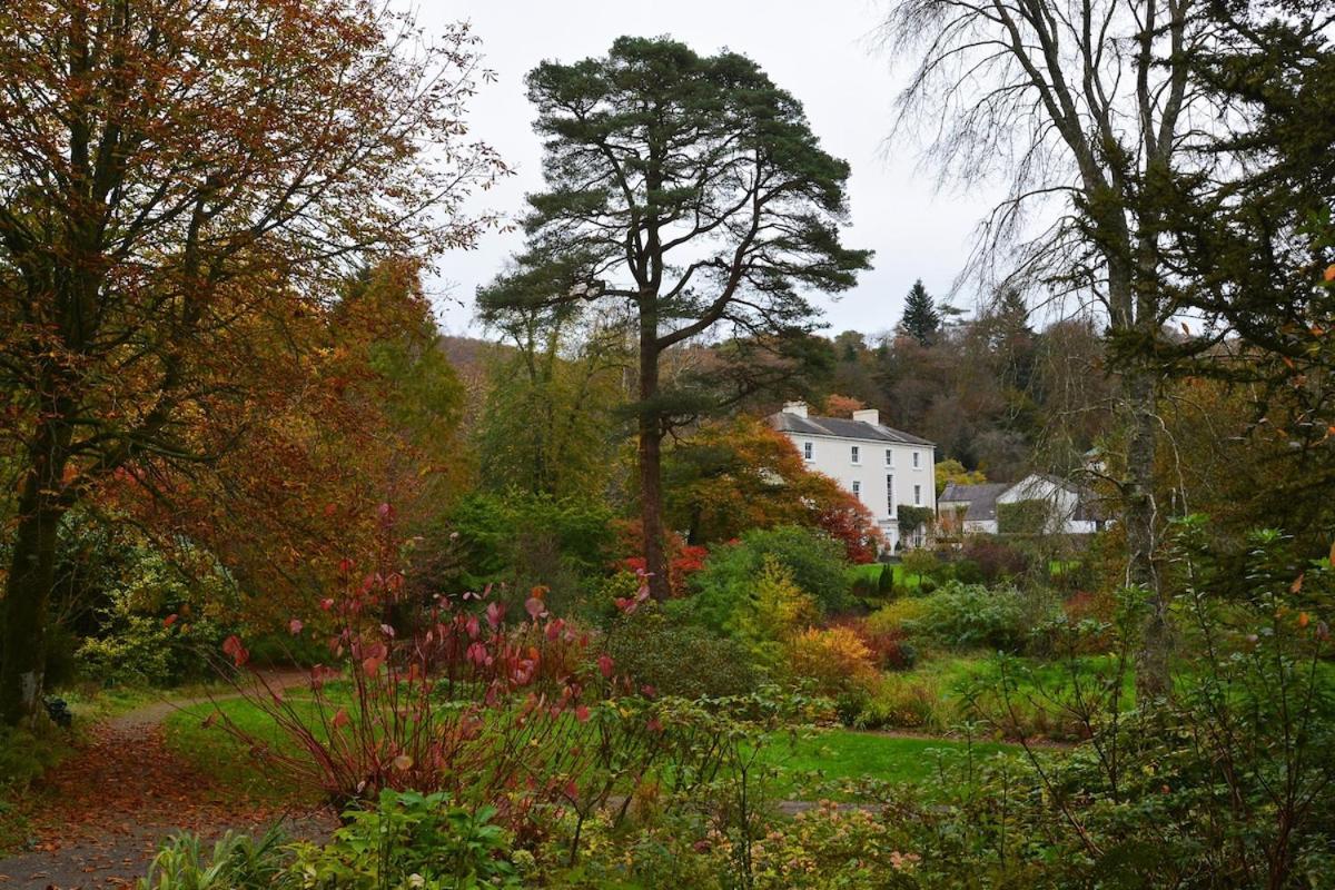 Dandelion Cottage, Amroth Buitenkant foto
