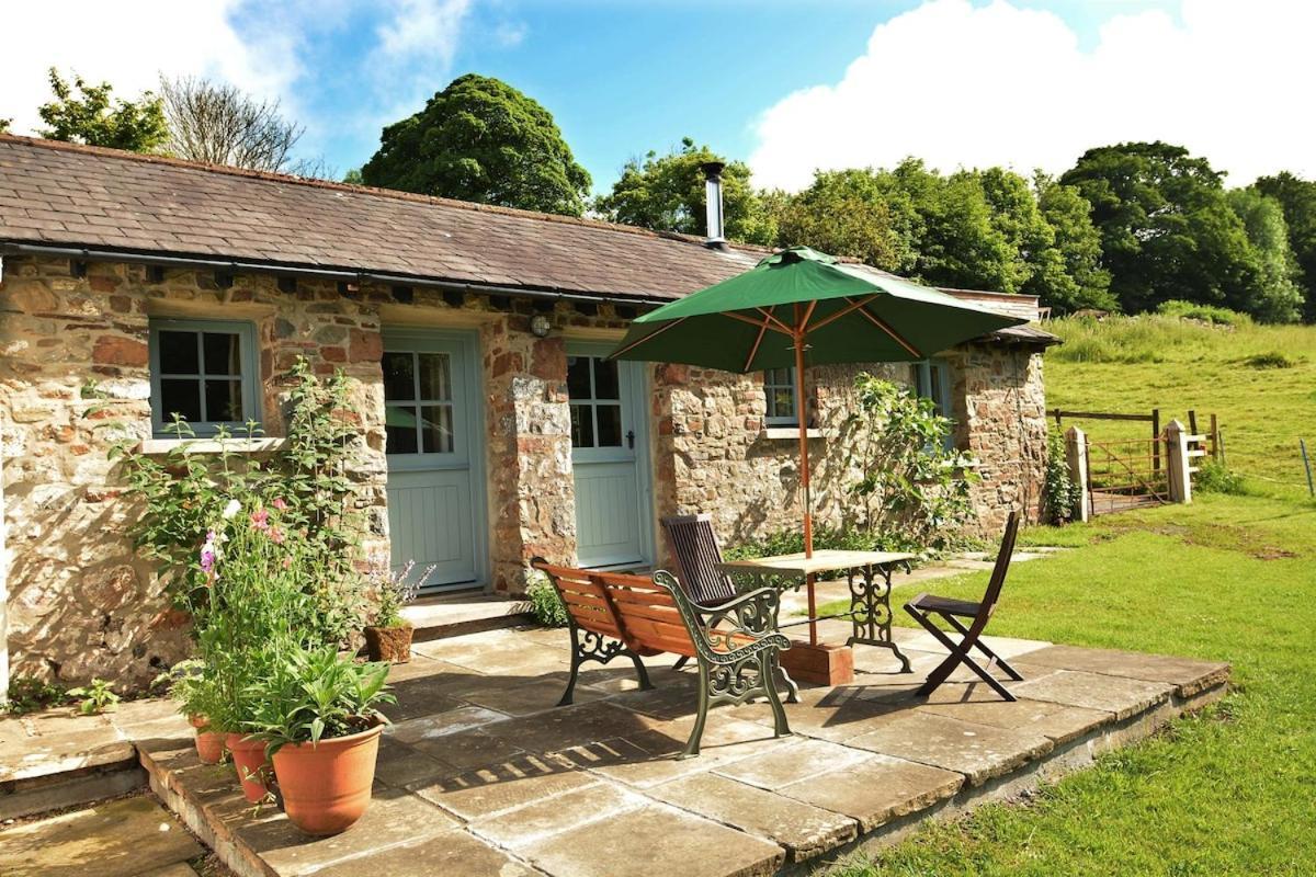 Dandelion Cottage, Amroth Buitenkant foto